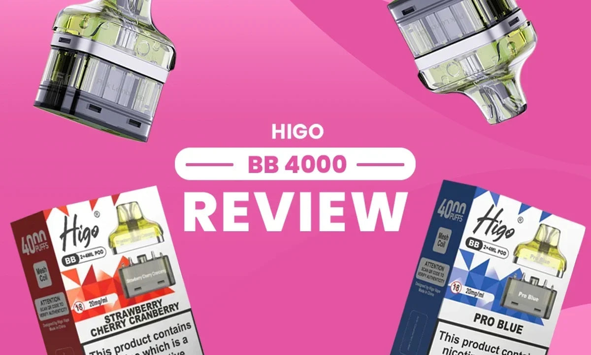 Higo BB 4000 Review