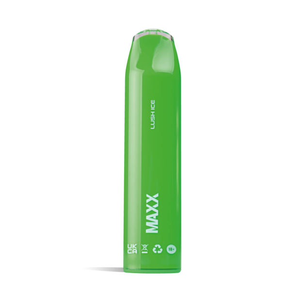 HYPPE MAXX 600 Puffs Disposable Vape Pod Kit Device